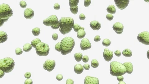 Custard Apples Floating on a White Background 库存影片 72299609