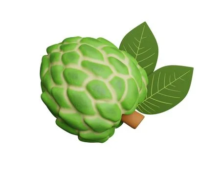 Custard apples or cherimoya fruit isolated on white background Stock Illustration