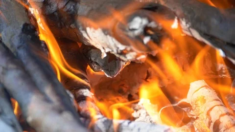 Custer burns, fire, firewood, fire burns Stock Footage 126005341
