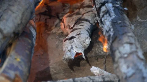 Custer burns, fire, firewood, fire burns Stock Footage 126005388