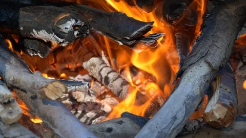 Custer burns, fire, firewood, fire burns Stock Footage 126005438