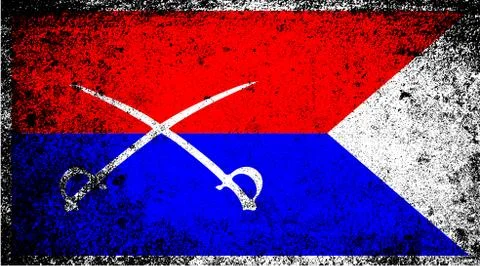 Custer hq flag Illustrazione stock