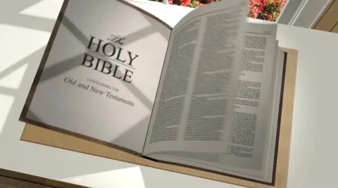 Custom 3D Bible Stock After Effects