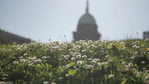 The Custom House 库存影片 154115172