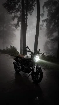 Custom Motorcycle Stock Photos
