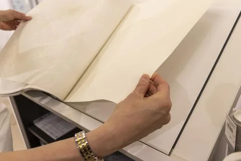 Customer Browsing Wallpaper Catalog Book in Modern Interior Design Showroom.. Stock Photos