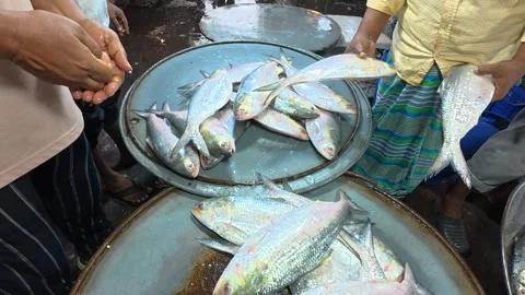 Customer Buying Fresh Fish at Crowded Kawran Bazar Market Vidéo 343143918
