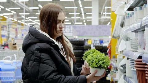 Customer carefully inspecting a small artificial plant in the houseware Stock Photos