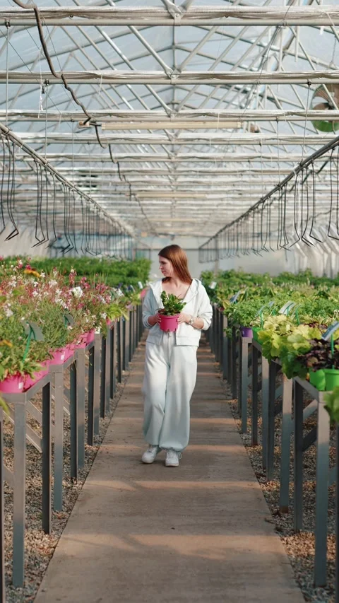 Customer carrying plant pot while shopping for garden flowers Vídeos de archivo 316989929