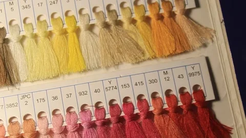 Customer Choose of Color Thread on her C... | Stock Video | Pond5