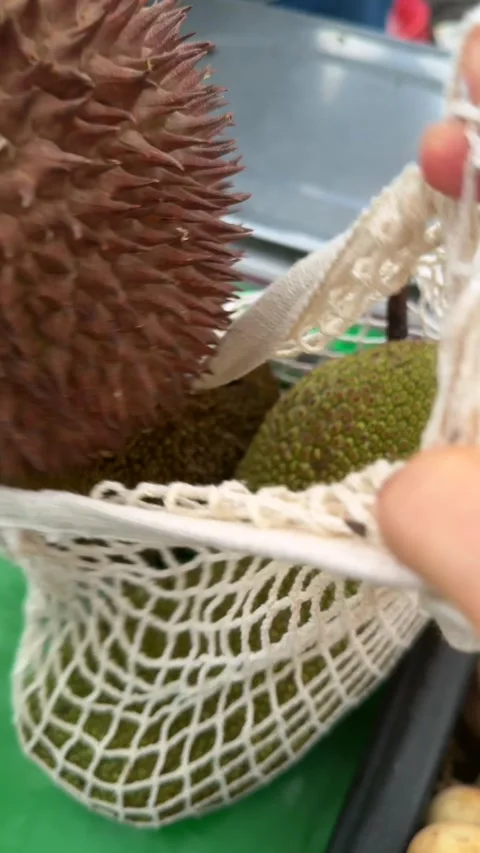 Customer choosing and packing durian at local market, spiky tropical fruit Stock Footage 337104441