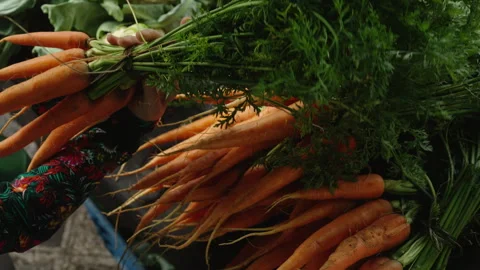 Customer Choosing Fresh Carrots With Leafy Tops at a Market Stock Footage 340300295