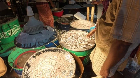 Customer Choosing Fresh Fish from Vendors at Kawran Bazar Fish Market, Dha Stock-Footage 343143119