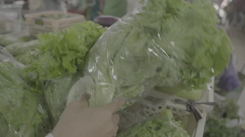 Customer Choosing Packaged Lettuce at Traditional Market Slog3 10 bit 4:2:2 Video stock 340183808