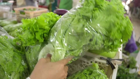 Customer Choosing Packaged Lettuce at Traditional Market Video stock 340184527