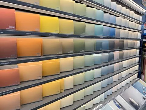 Customer comparing paint colors inside hardware store. Stock Photos