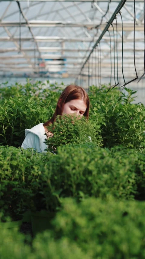 Customer exploring rows of greenery in garden center Vídeos de archivo 316989955