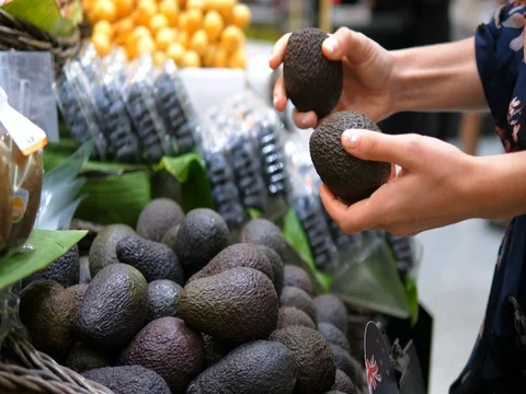 Customer Hand Choosing Avocado in Supermarket Stock Footage 80471604