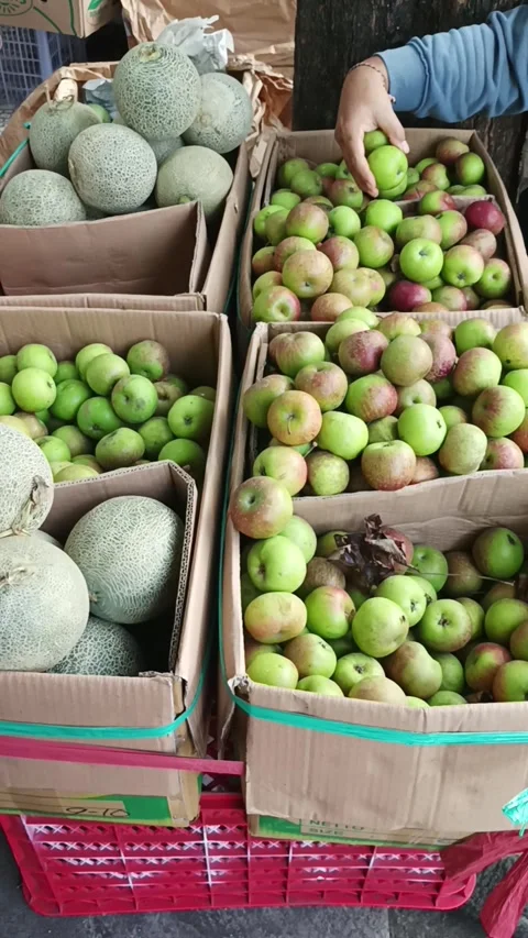 Customer hands picking fresh green apples Stock Footage 334130098