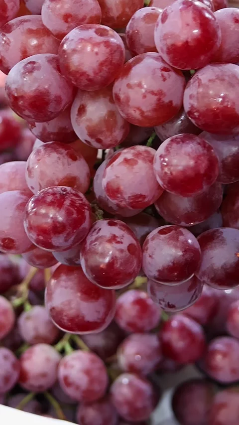 Customer Inspecting Fresh Red Grape Cluster Before Purchase 動画素材 337736000