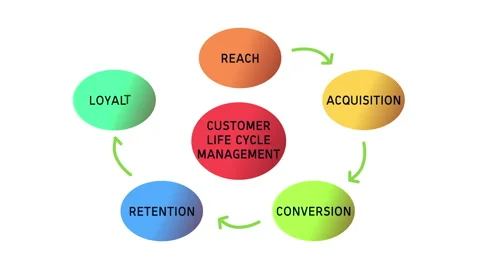 Customer Lifecycle Management Diagram Cycle Animation Stock Footage 155542529