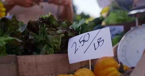 Customer makes purchase at farmers market. Stock Footage 88369953