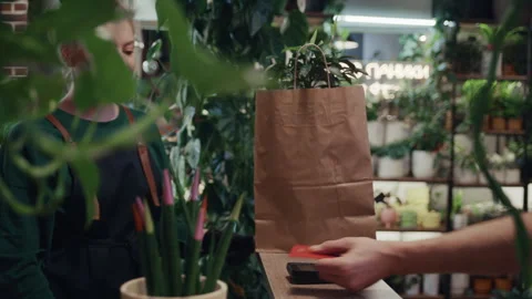 Customer making contactless payment with credit card at plant store counter Stock Footage 330429031