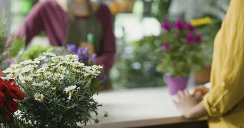 Customer paying with a credit card Stock Footage 297784471