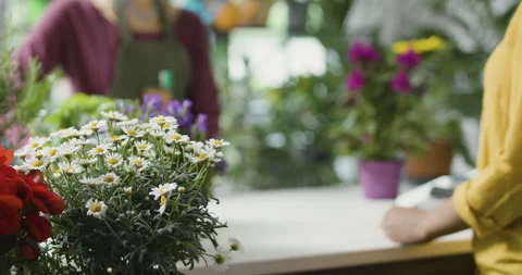 Customer paying using her smartphone Stock Footage 297784519
