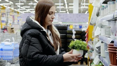 Customer picking out a petite artificial plant from the shelves of a fully 库存照片
