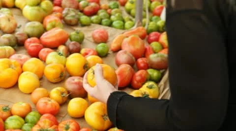 Customer picks tomato Video stock 12553449