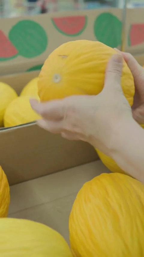 Customer picks up yellow melon from supermarket cardboard crate Video stock 334169629