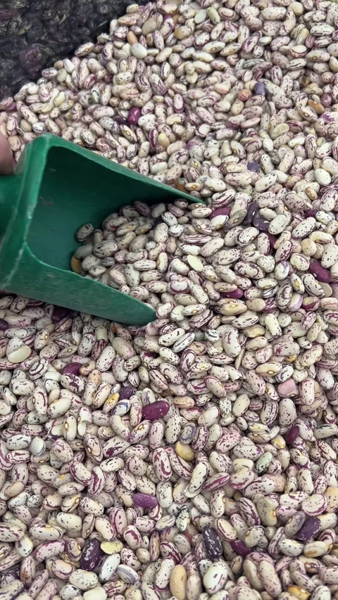 Customer scoops up Pinto beans with green scoop on supermarket display Stock Footage 324769667