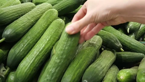 Customer Selecting Fresh Cucumbers. Lots of cucumbers close-up. Stock Footage 283929816