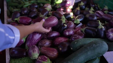 Customer Selecting Fresh Eggplants at a Local Vegetable Market Vídeo Stock 347233897