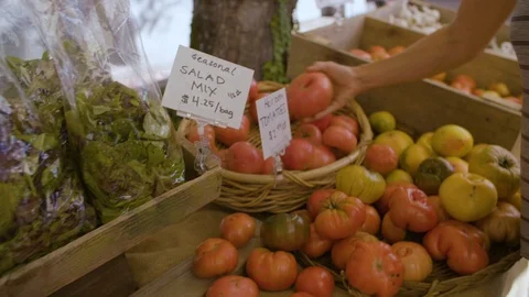Customer selecting tomatoes from vegetable display stand Stock Footage 87808583