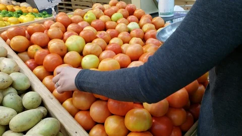 Customer shopping for tomatoes Stock Footage 109134509