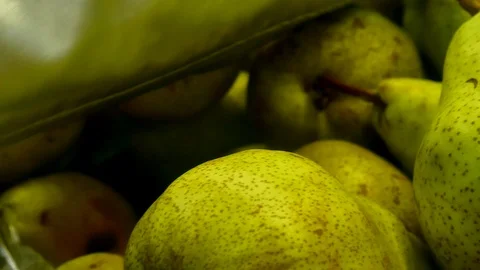 Customer at the Supermarket. Stock Footage 112665628