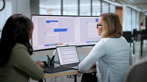 Customer Support Agent And Colleague Review AI Chatbot Software Stock Footage 346926445