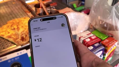 Customer Uses Mobile Payment at Shanghai Breakfast Stall Stock Footage 340176744