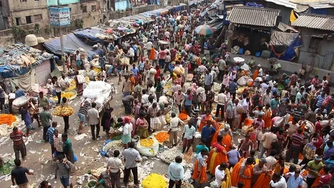 Customers and traders of huge Mullik Ghat Flower Market. Stock Footage 124656416