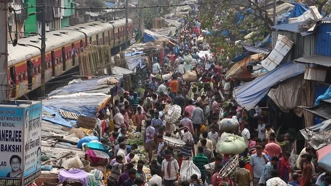 Customers and traders of huge Mullik Ghat Flower Market. Stock Footage 124656474