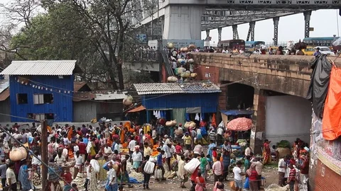 Customers and traders of huge Mullik Ghat Flower Market. Stock Footage 124656557