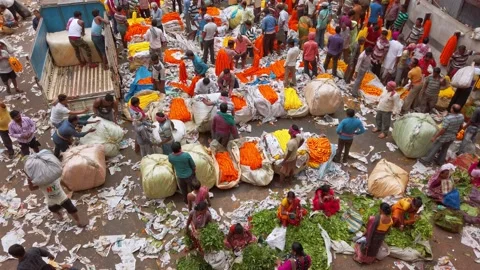 Customers and traders of huge Mullik Ghat Flower Market in Kolkata. Stock Footage 143464597