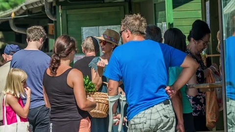 Customers are standing next to one of the food stands Stock Footage 105230090