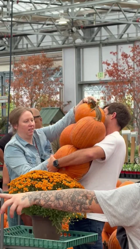 Customers Getting the Most From an All-You-Can-Carry Pumpkin Deal, Melissa, Texa 库存影片 347323212