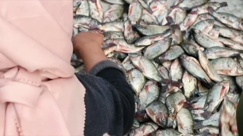 A customers Hand picking fish from a seafood market stall Stock Footage 303340344