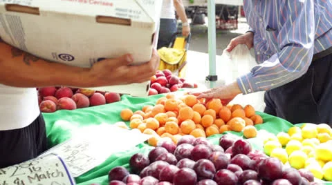 Customer's Hands Selecting Fruit Apricots at Farmers Market Stock Footage 25132444