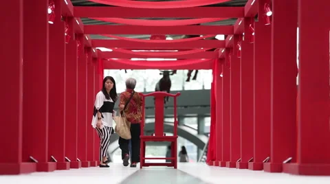 Customers walk through a red gallery at a shopping mall Stock Footage 41096228