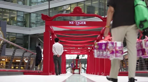 Customers walk through a red gallery at a shopping mall Video stock 41096301